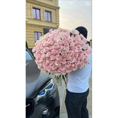 101Pink Mondial Rose