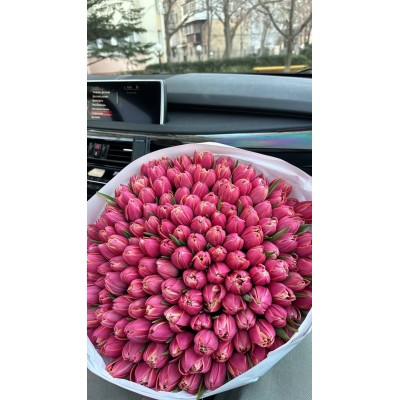 101 Пионовидных пион