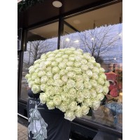 101 Mondial Rosé 70 cm