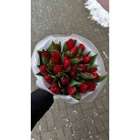 25 красных тюльпанов