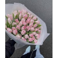 41 пионовидный тюльпан
