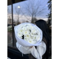 Букет из Белой  Хризантемы "Алтай"