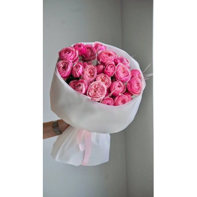 Silvia Pink 