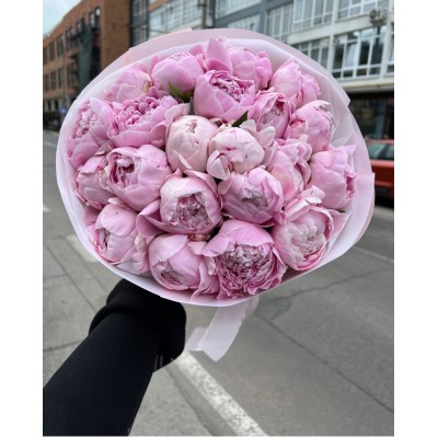Букет из 21 премиального Пиона "Peony"