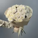 Хризантемы (5)