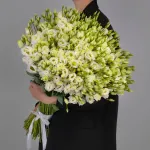 Эустомы (0)